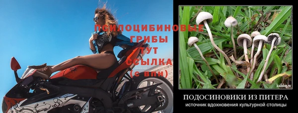 МДПВ Алексеевка